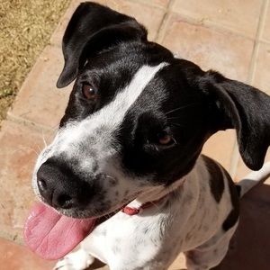 Meet your Posher, Marissa